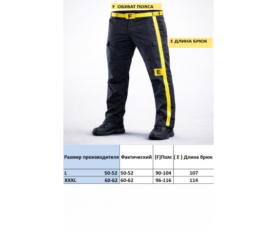 Фото: “Dobermans СПОРТИВНЫЕ БРЮКИ”, купить в интернет магазине