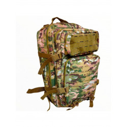 Фото: “Рюкзак 40 л MOLLE LEGIONER MULTICAM”, купить в интернет магазине