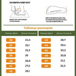 Фото: “БЕРЦЫ АРМАДА САВАННА 202-МОХ”