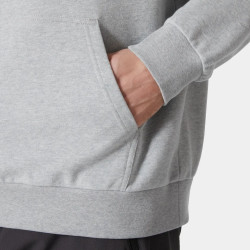Превью товара: “Толстовка LOGO HOODIE 2.0 HH, цвет Grey Melange”, купить в интернет магазине
