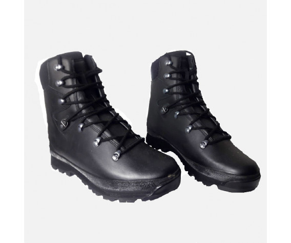 Фото: “Берцы армии Британии Сold Wet Weather Solution Haix Gore-Tex”, купить в интернет магазине