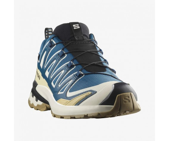 Фото: “Кроссовки M XA PRO 3D V9 GTX Salomon, цвет Dark Blue/Icicle/Aloe”, купить в интернет магазине