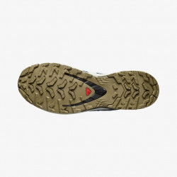 Фото: “Кроссовки M XA PRO 3D V9 GTX Salomon, цвет Dark Blue/Icicle/Aloe”