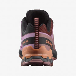 Фото: “Кроссовки W PRO 3D V9 Salomon, цвет Rum Raisin/Orchid Bouq”