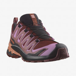 Фото: “Кроссовки W PRO 3D V9 Salomon, цвет Rum Raisin/Orchid Bouq”
