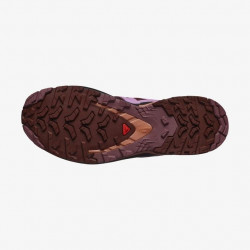 Фото: “Кроссовки W PRO 3D V9 Salomon, цвет Rum Raisin/Orchid Bouq”