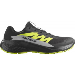 Фото: “Кроссовки Alphaglide GTX Salomon, цвет Black/Alloy”, купить в интернет магазине