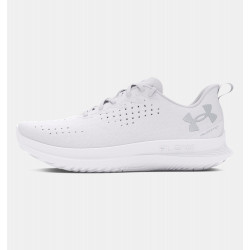 Превью товара: “Кроссовки W Velociti 4 Under Armour, цвет White”, купить в интернет магазине