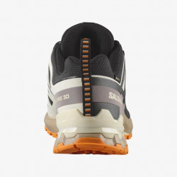 Превью товара: “Кроссовки M XA PRO 3D V9 GTX Salomon, цвет Black/Vanilla Ice”, купить в интернет магазине