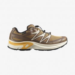 Фото: “Кроссовки M XT-EVR GTX Salomon, цвет Kelp/Vanilla Ice/Warm Apr”, купить в интернет магазине