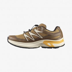 Превью товара: “Кроссовки M XT-EVR GTX Salomon, цвет Kelp/Vanilla Ice/Warm Apr”, купить в интернет магазине