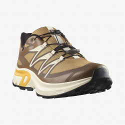 Превью товара: “Кроссовки M XT-EVR GTX Salomon, цвет Kelp/Vanilla Ice/Warm Apr”, купить в интернет магазине