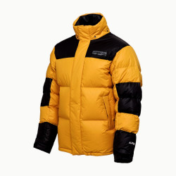 Превью товара: “Куртка Denali Winter APEX, цвет Yellow/Black”, купить в интернет магазине