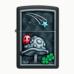 Превью товара: “Зажигалка Zippo Ladybug, Black Matte, цвет черный”, купить в интернет магазине